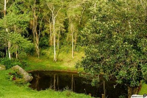 Terrain de l’hébergement 