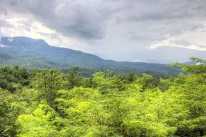 View from Deck