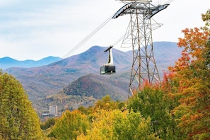 View of Ober Gatlinburg tram floating above fall foliage