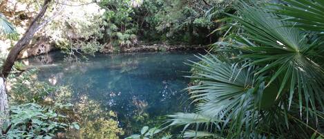 cenote in front of the house