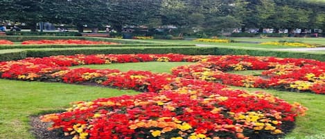 Jardines del alojamiento