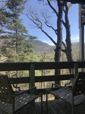 Views from Wren porch in winter