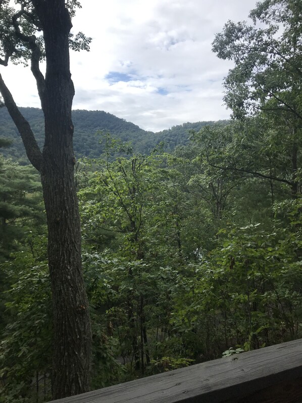 View from Wren deck in the spring/summer. 