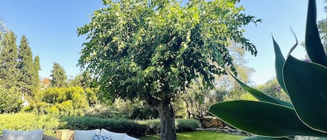 Terrasse/gårdhave