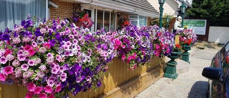 Smell the flowers at Castle Lodge!
