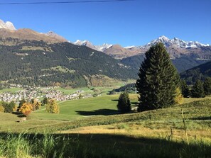 Bild 14