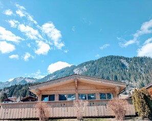 Another look at the view and the chalet!the chalet 