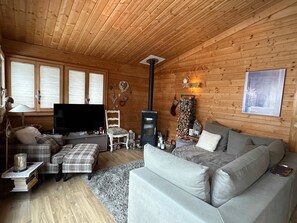the cozy living room
