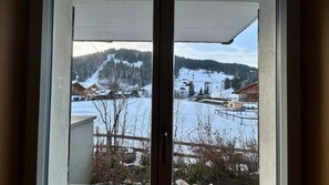view from living room window 