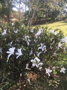 Fim de semana em contato com a natureza com familia e amigos