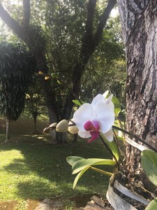 Fim de semana em contato com a natureza com familia e amigos