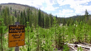 Neighbors National Forest and Trail Head!