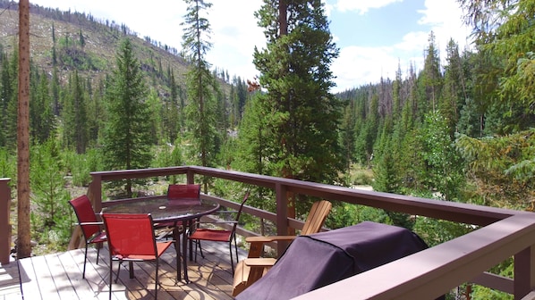 Balcony view of National Forest