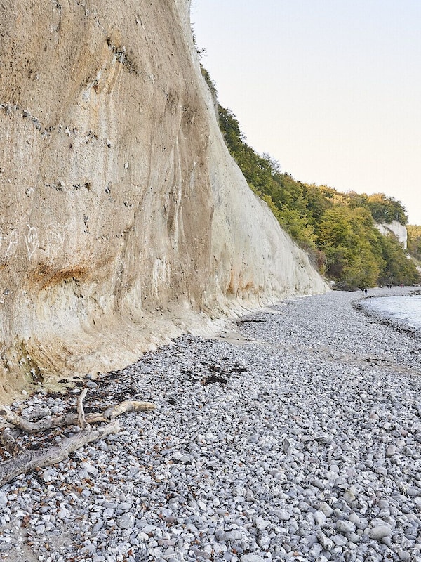 Kreidefelsen auf Rügen