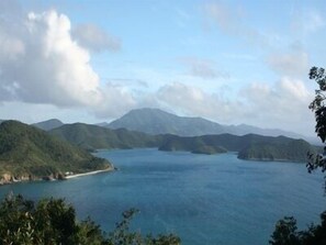 Morning view from deck