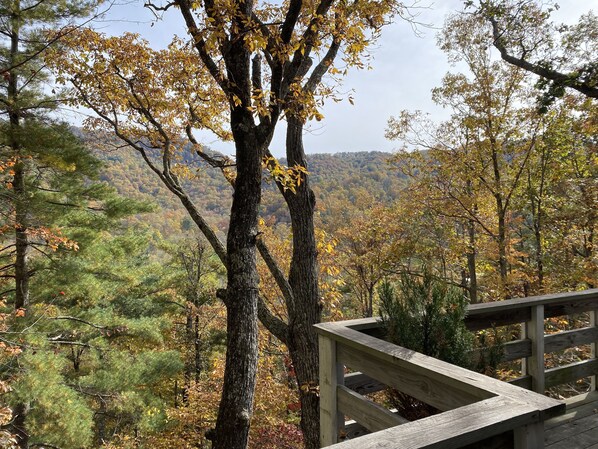 View in the fall from Raven Deck