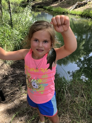 Kids love catching fish at Spring Creek