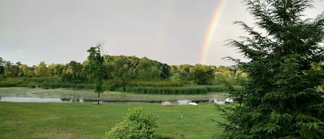 Backyard rainbow over bay