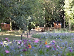 Terrein van de accommodatie