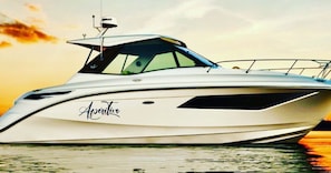 Access to charter our 2021 Sea Ray Sundancer 320 Coupe at a great discount!
