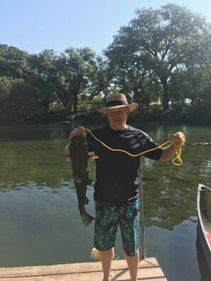 Nice catfish near cabin #3