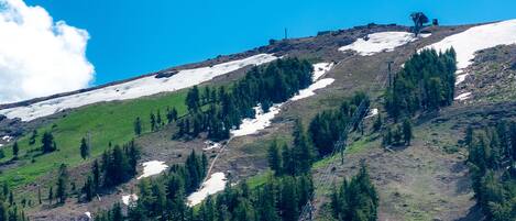 It's time to go mountain biking or play disc golf!