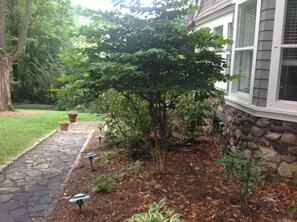 Walkway in front