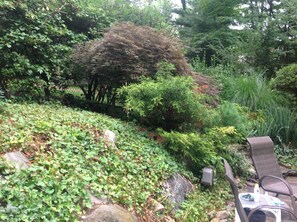 Side yard hill down to pool