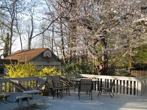 Back Deck in the spring