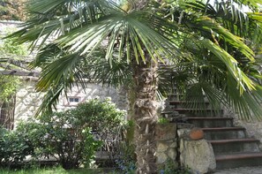 Jardín