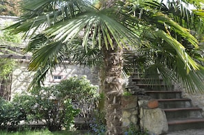 Trädgård
