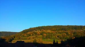 Vista dalla camera