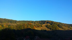 Vista desde la habitación