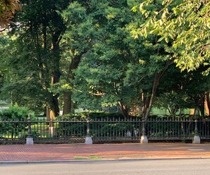 view of the Swan Boat Pond in the Public Garden from your front window