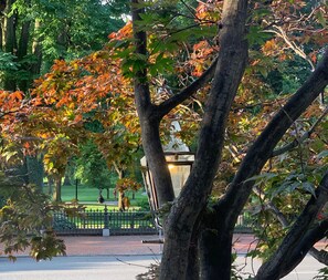 a view of the Public Garden from your front window