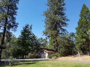 The cottage shares a driveway and lawn area with the main house.