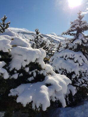 Magnifique balade en raquette balisée à faire à proximité du Crystal Chalet.