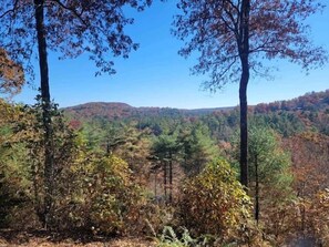 view from deck