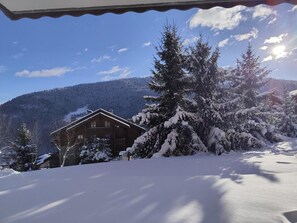Winter Residence