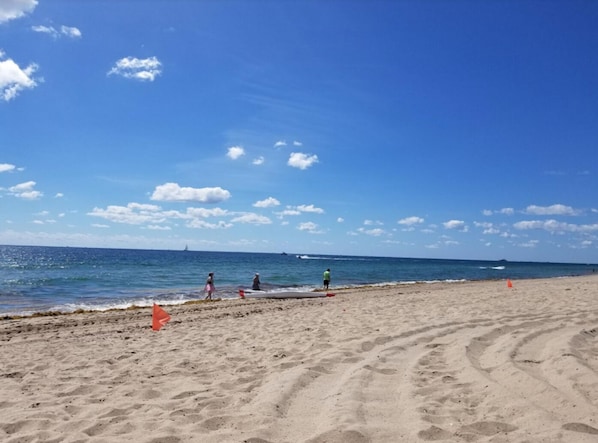 Strand