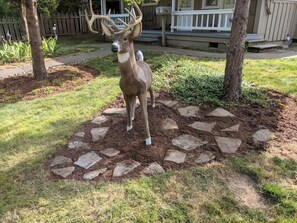 The neighbors take photos of their children sitting on this deer.