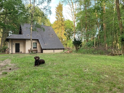 Quiet forest house in the beautiful Lüneburg Heath