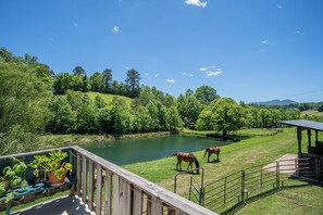 The beautiful view from the deck.