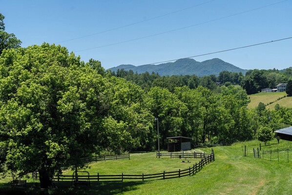 Mountain view 