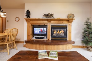 Propane Thermostat Operated Fire Place