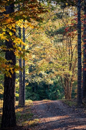 Terrain de l’hébergement 