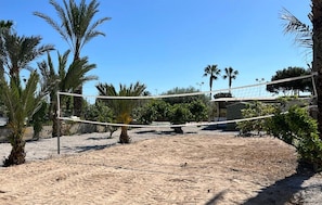 Terrain de sport