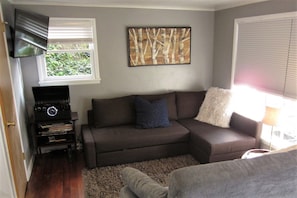Living area with ROKU TV, Record Player/Bluetooth stereo and sofa beds.