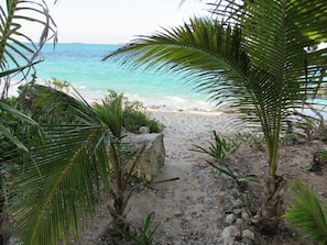 Private walkway to secluded beach 