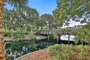 Looking to the right towards the bridge and pool area.